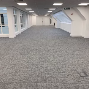 Dilpaidation carpet installation Dilpaidation carpet installation